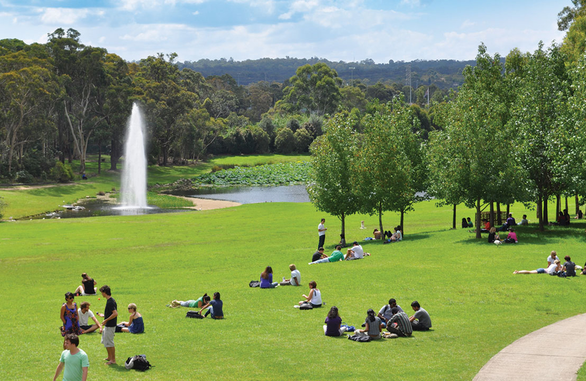 grönskande park vid macquarie university i sydney